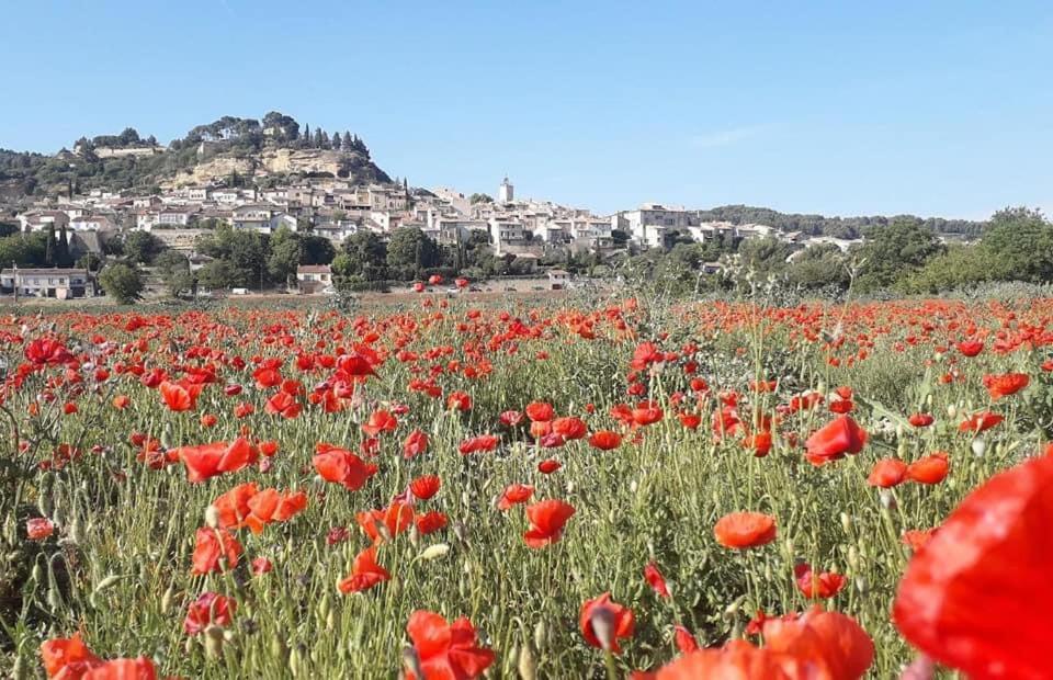 L'Amanderaie Piscine Privee A Cote De Lourmarin Luberon Appartement Cadenet Buitenkant foto