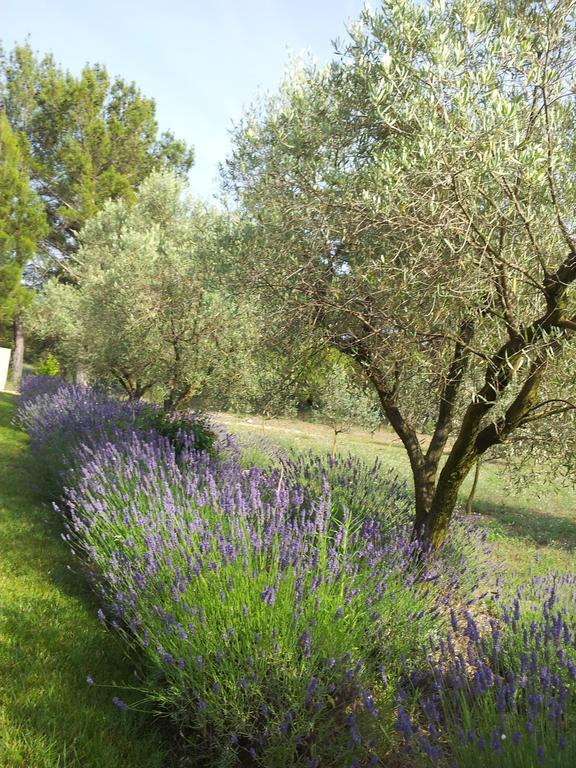 L'Amanderaie Piscine Privee A Cote De Lourmarin Luberon Appartement Cadenet Kamer foto